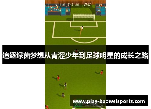 追逐绿茵梦想从青涩少年到足球明星的成长之路