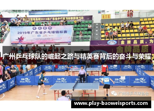 广州乒乓球队的崛起之路与精英赛背后的奋斗与荣耀