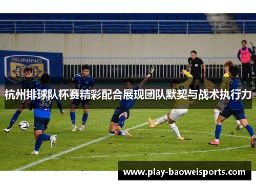 杭州排球队杯赛精彩配合展现团队默契与战术执行力