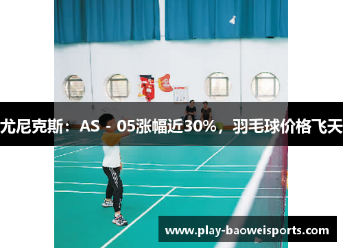 尤尼克斯：AS - 05涨幅近30%，羽毛球价格飞天